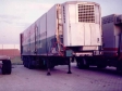 197-29-11-1984-opl-9-bouwjaar-1983-merk-baeten-tussen-boxtel-en-vught-zijwand-gescheurd-geladen-met-280-varkens
