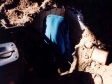 431-verhuizing-naar-apeldoorn-1994