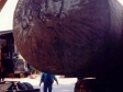 438-verhuizing-naar-apeldoorn-1994